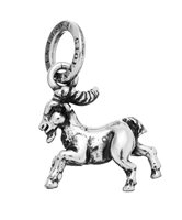 Charm Giovanni Raspini in Argento 08620 - 08620